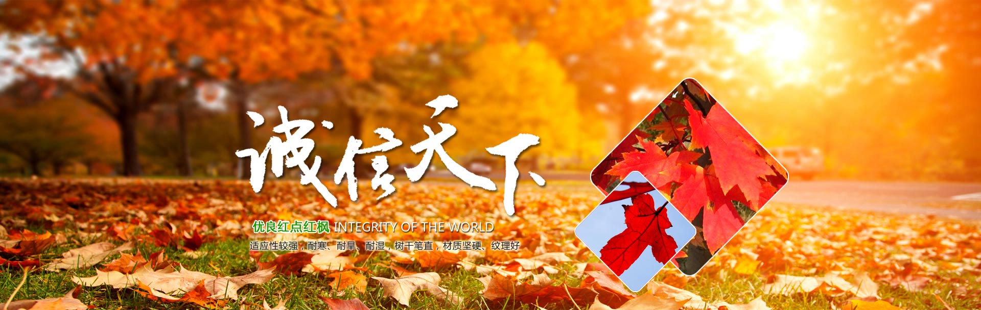 ̌W(xu)ģ